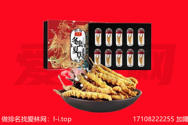 五河县回收虫草.jpg